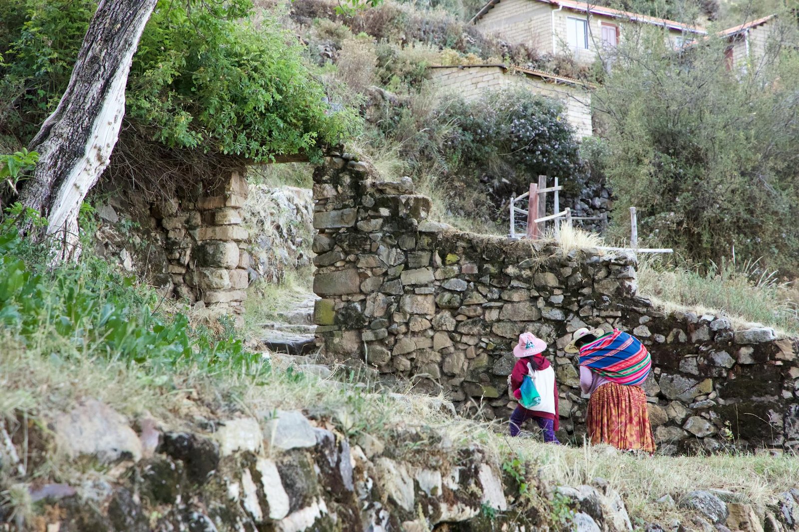 Scène bolivienne près de ruines anciennes pour illustrer Tiwanaku depuis La Paz