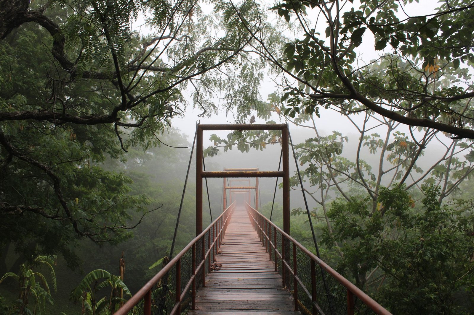 Passerelle en bois au-dessus d’une forêt brumeuse de Santa Cruz en Bolivie