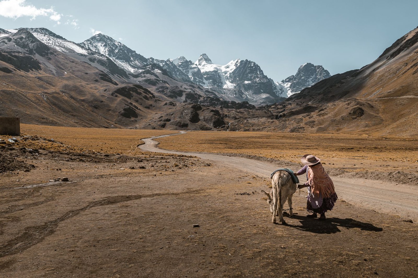 Muletier sur une piste de montagne dans les Andes boliviennes