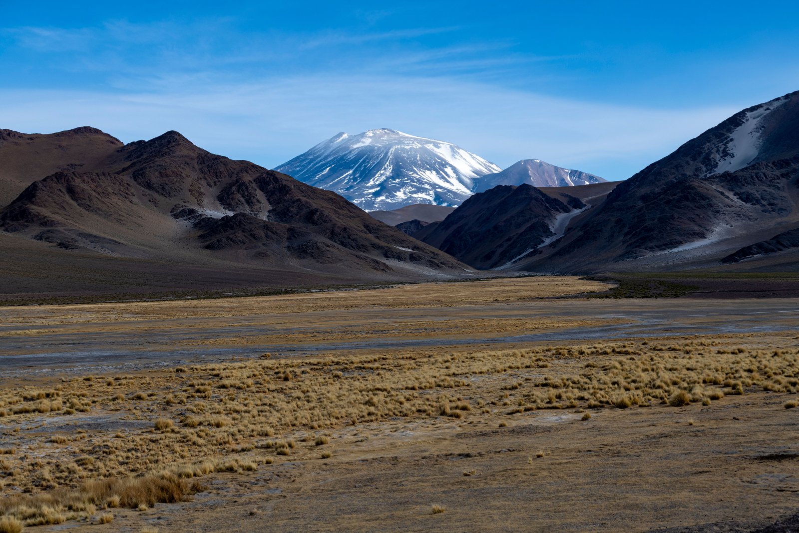 Grand paysage d’altiplano bolivien avec reliefs volcaniques près du Sajama