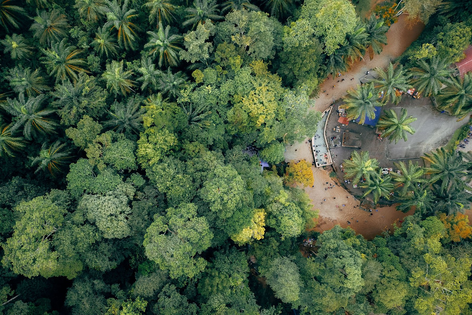 Vue aérienne d’une forêt tropicale dense, idéale pour illustrer l’immensité sauvage du parc Noel Kempff Mercado