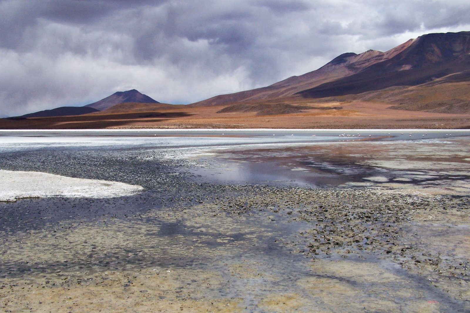 Lagune d’altitude et flamants dans l’Altiplano bolivien