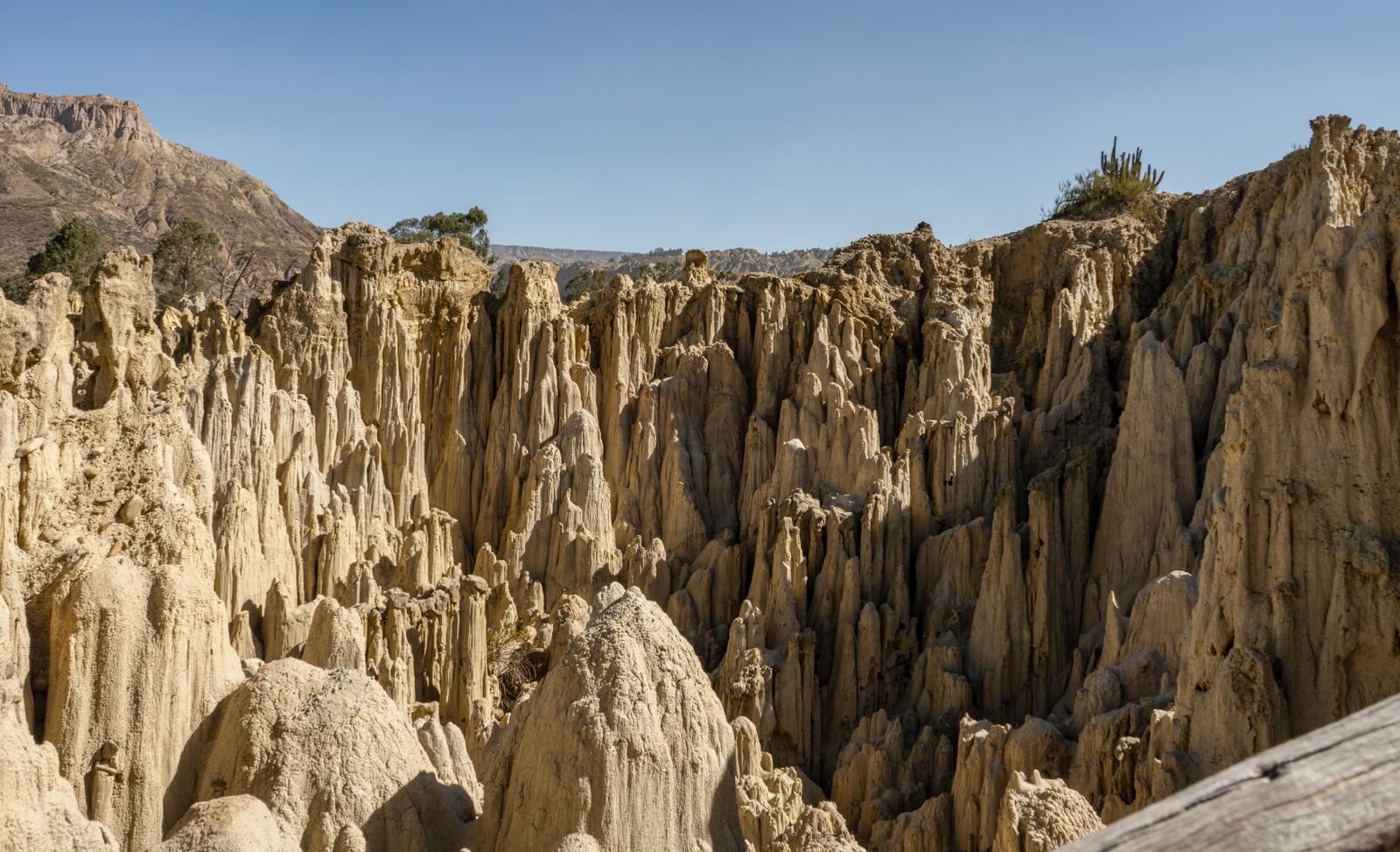 Paysage de la Vallée de la Lune à La Paz, Bolivie